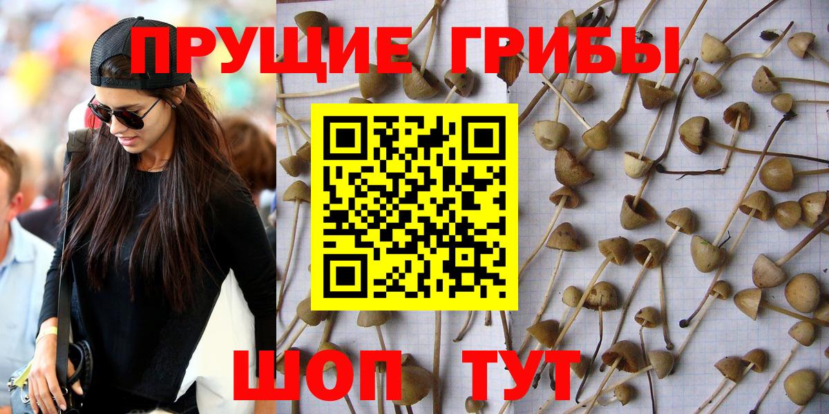 Псилоцибиновые грибы Magic Shrooms Химки