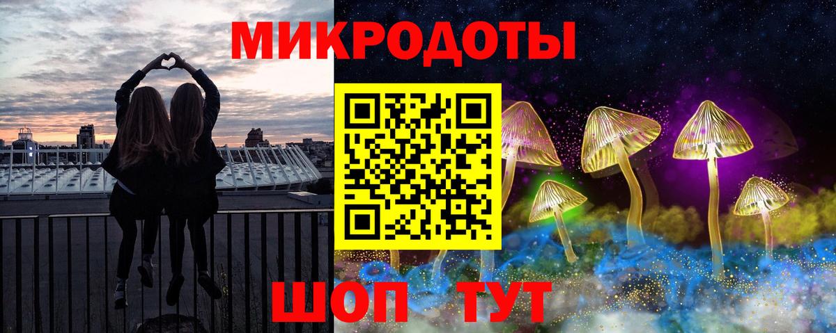 Галлюциногенные грибы Psilocybe  закладки  Химки  Вход с VPN 